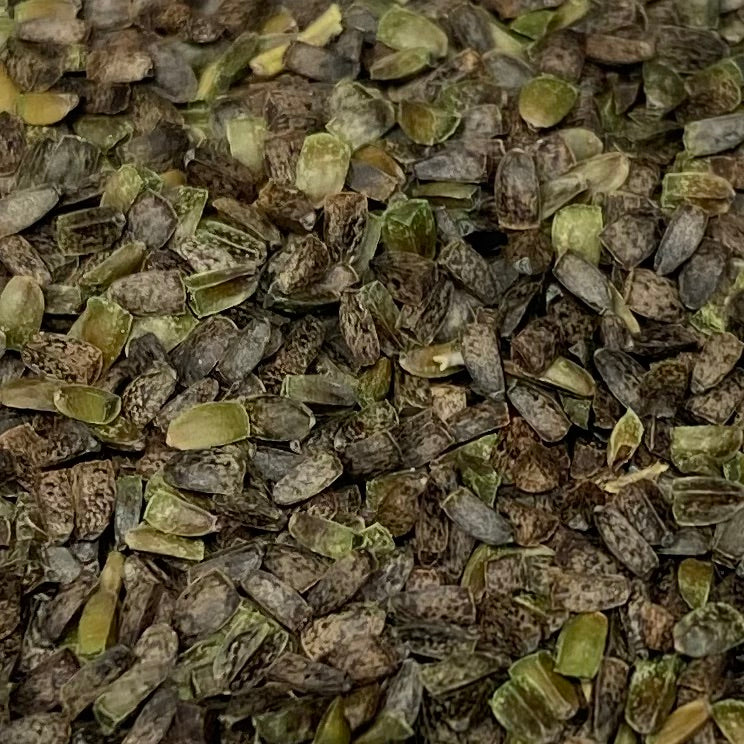 Motherwort, Chinese aka. Yi Mu Cao (Leonurus heterophyllus)