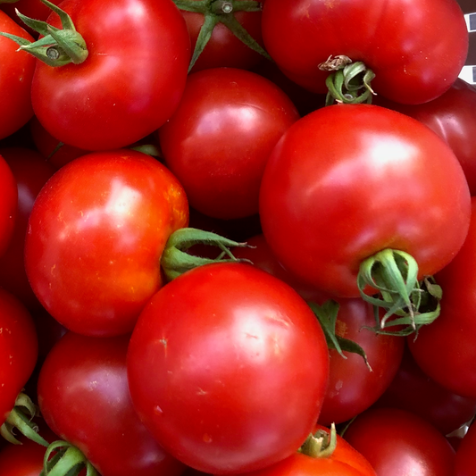 Mountain Girl Tomato