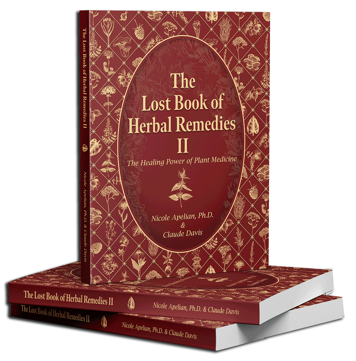 THE LOST BOOK OF HERBAL REMEDIES II