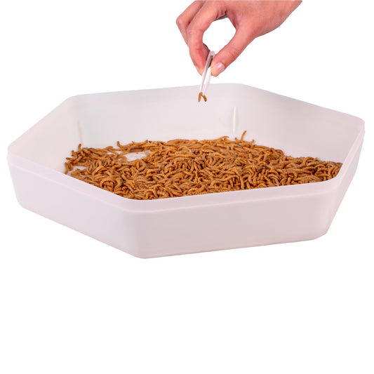 Mealworm Storage Tray (Beetle Tray Not Included)