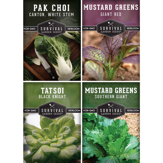 Mustard & Asian Greens Seed Collection – 4 Heirloom Non-GMO Varieties: Tatsoi, Southern Giant, Giant Red & Pak Choi for Year-Round Garden Harvests