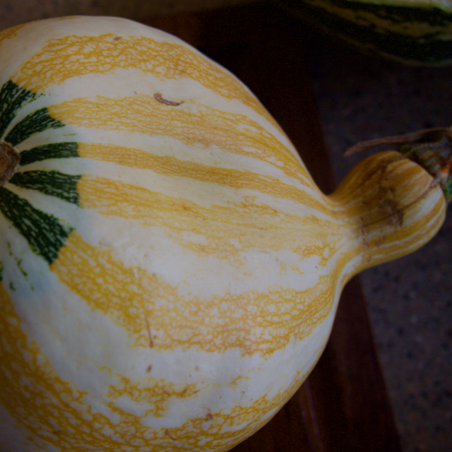 Hopi Origin Cushaw Winter Squash