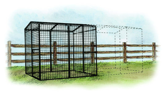 Walk-In 8 ft. Chicken Run (6'6"W x 7'6"L x 6'3"H)
