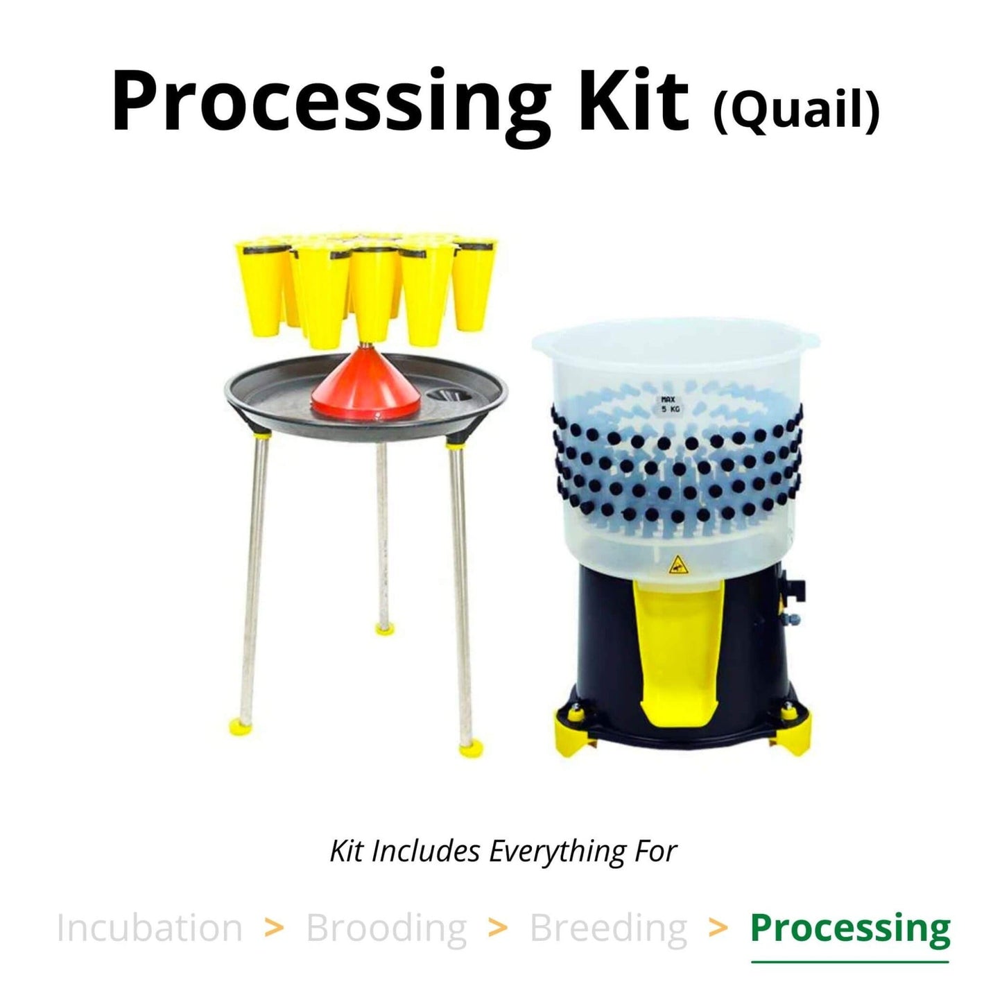 Processing Kit - Quail