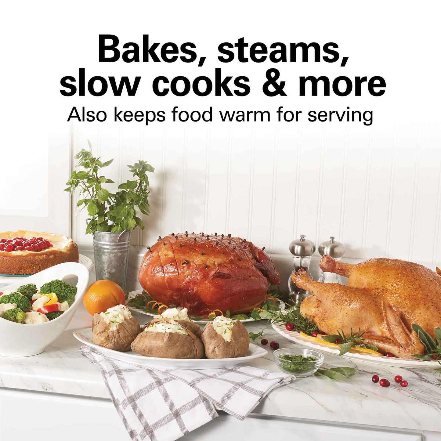 Electric Roaster Oven 22 Quarts, Stainless Steel