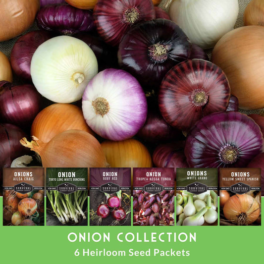 6 Onion Seed Collection – Red, White, Yellow, Bunching & Storage Varieties for Every Growing Region