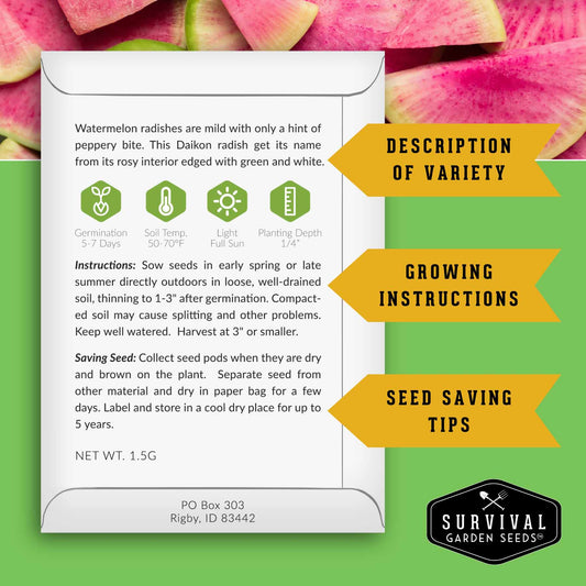 Asian Vegetable Seed Collection – 6 Heirloom, Non-GMO Varieties for Stir-Fries, Soups & Authentic Home Cooking