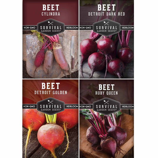 Beet Seed Collection – Cylindra, Ruby Queen, Detroit Dark Red & Golden Beets