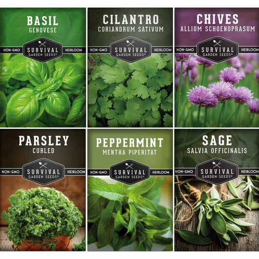 Indoor Herb Garden Hydroponic Seeds Collection – 6 Heirloom Non-GMO Culinary Herbs for Countertop, Tower & Year-Round Growing