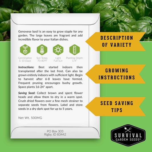 Italian Herb Seeds Collection – Genovese Basil, Oregano, Thyme, Sage, and Flat-Leaf Parsley for Indoor or Outdoor Culinary Gardens