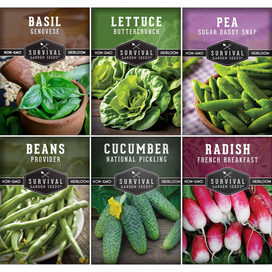 Kid’s Easy Garden Seed Collection – 6 Fast-Growing Vegetables & Herbs for Beginner Gardeners