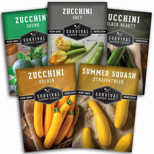 Zucchini & Summer Squash Seed Collection – Black Beauty, Round, Golden, Grey Zucchini & Straight Neck Yellow Squash