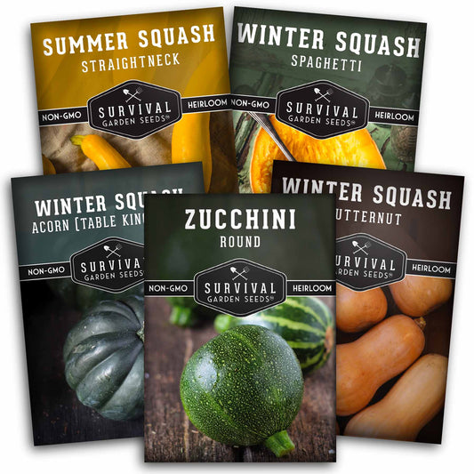 Squash Seed Collection – Zucchini, Yellow Summer, Butternut, Spaghetti & Acorn Varieties for Productive Summer and Winter Harvests