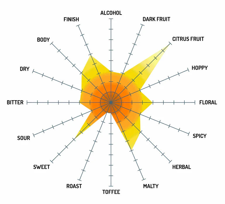 SUMMER SQUEEZE LEMON SHANDY EXTRACT BEER RECIPE KIT
