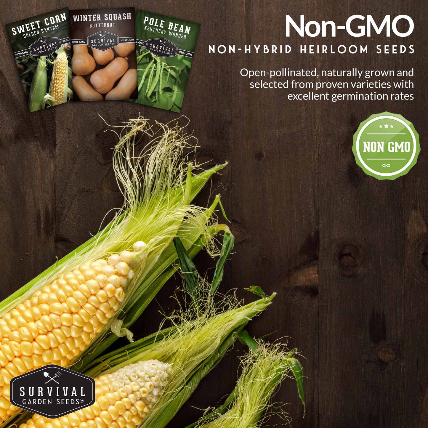 Three Sisters Seed Collection – Heirloom Corn, Pole Beans & Butternut Squash for Companion Planting