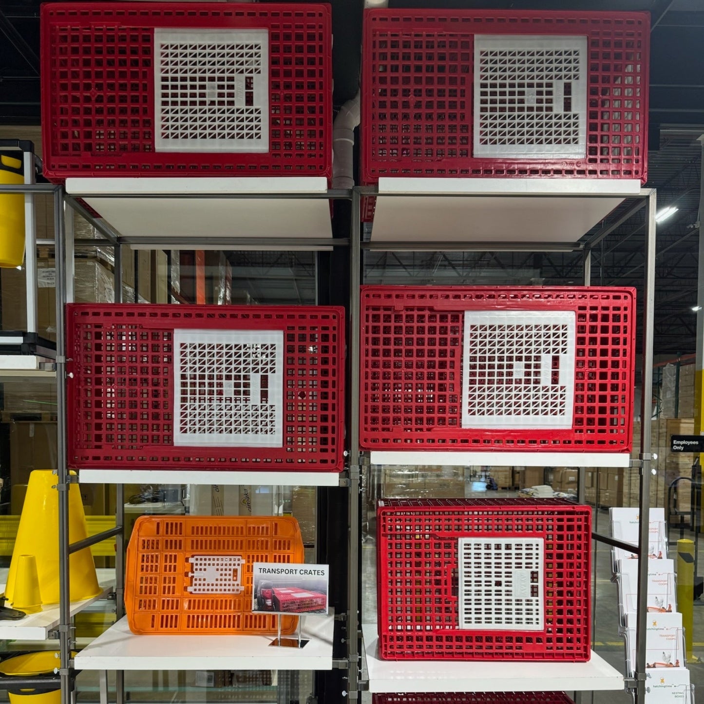 Chicken Transport Coop (Small) with Two Doors