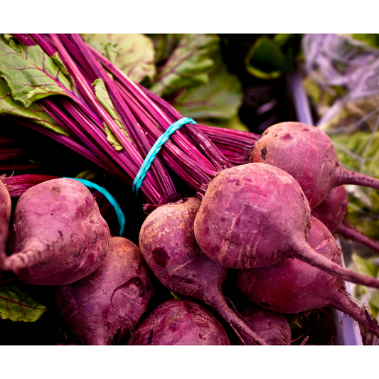 Early Wonder Tall Top Beet