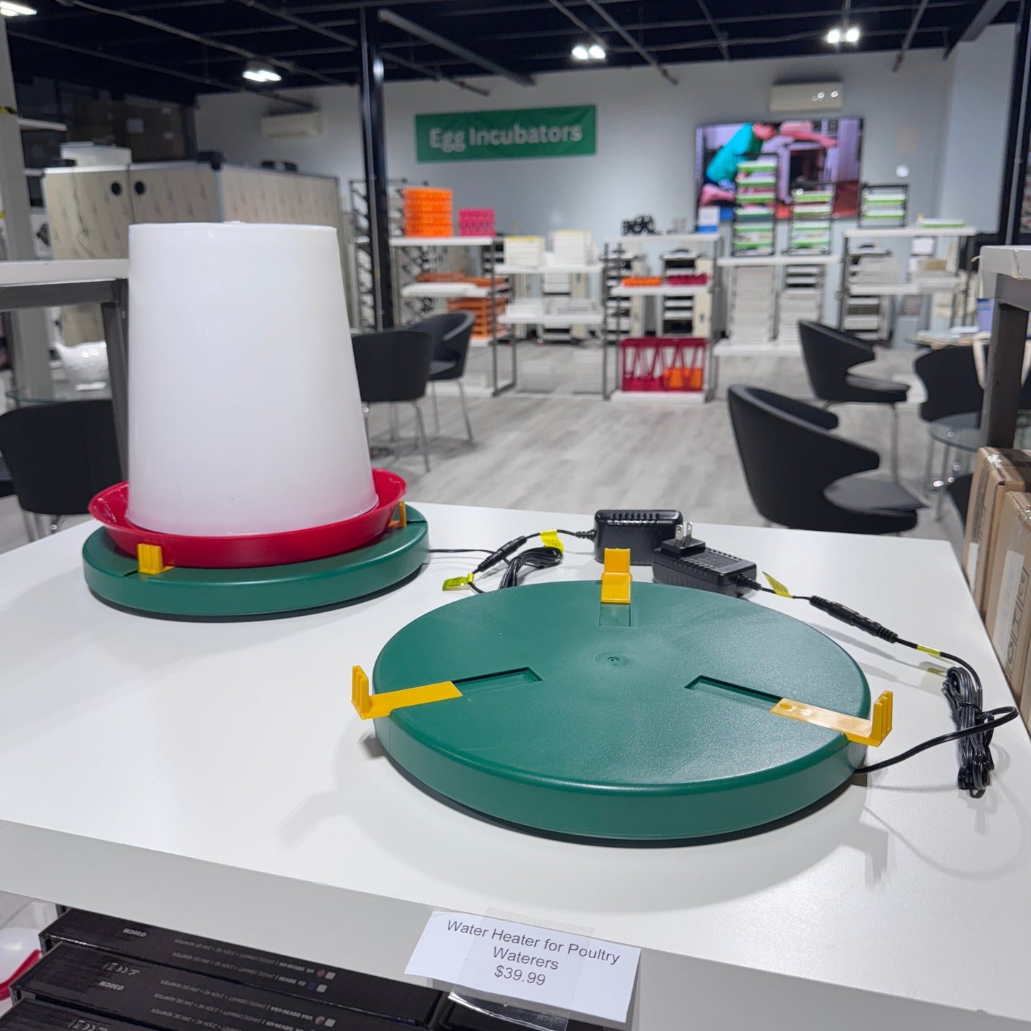 Water Heater for Poultry Waterers - 12"