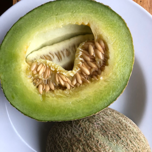 Green Nutmeg Melon