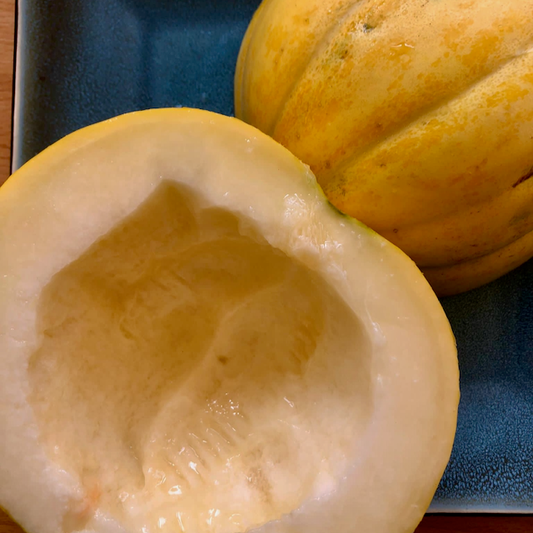 Hopi Origin Cantaloupe