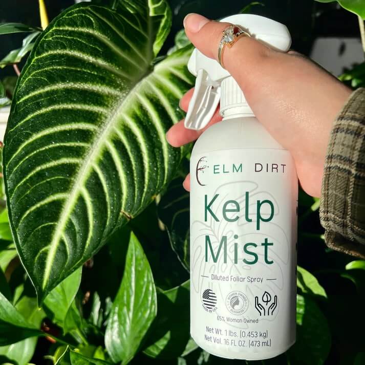 Kelp Mist Foliar Spray