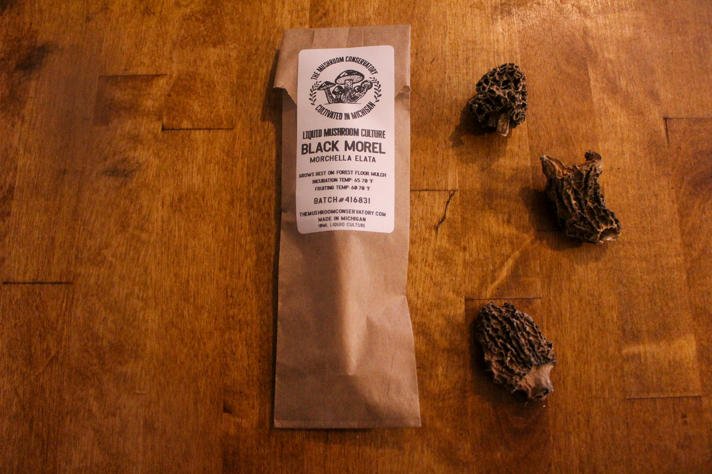 Black Morel Mushroom Culture - 10ML