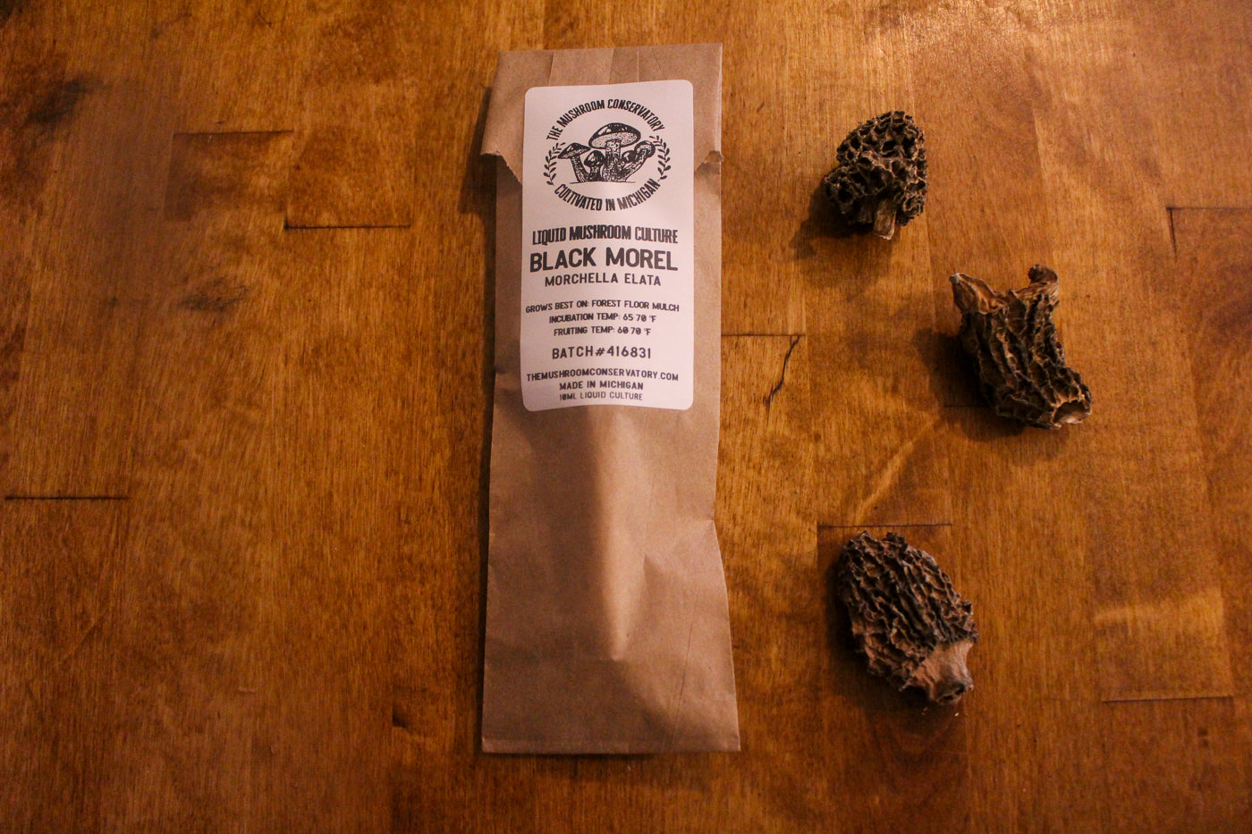 BLACK MOREL MUSHROOM CULTURE - 10mL