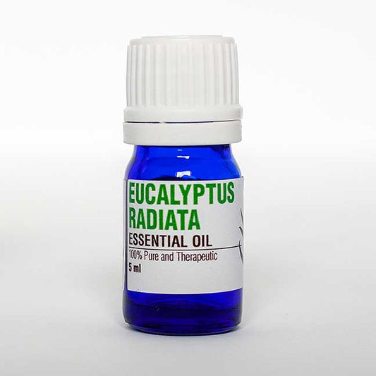 Eucalyptus Radiata Essential Oil