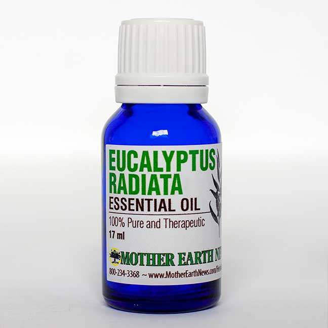 EUCALYPTUS RADIATA ESSENTIAL OIL