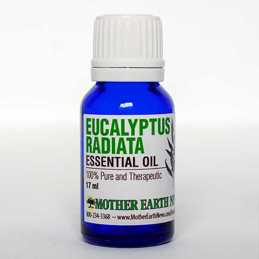 Eucalyptus Radiata Essential Oil