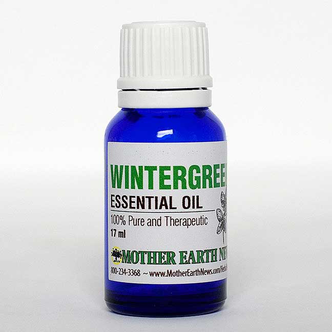 WINTERGREEN ESSENTIAL OIL