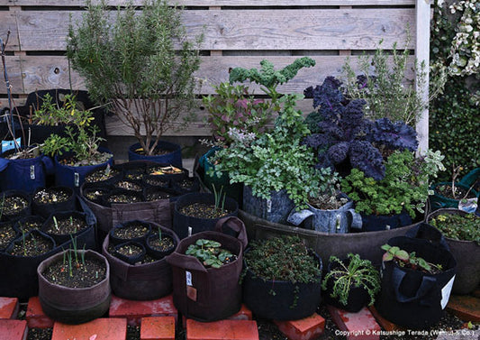 Fabric Planter Herb Kit