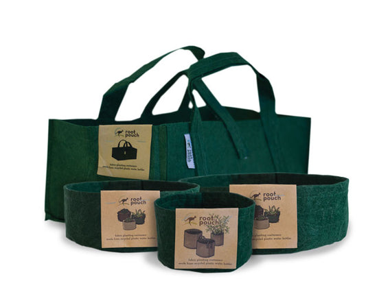 Fabric Planter Succulent Kit