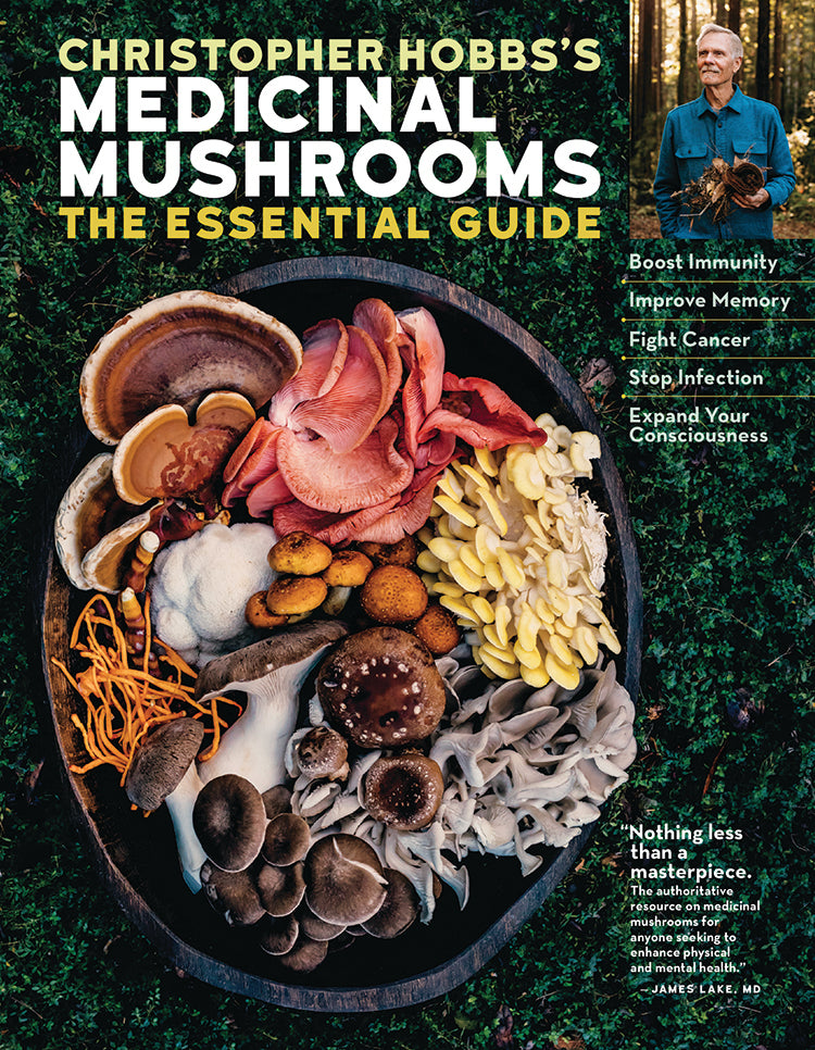 Medicinal Mushrooms: The Essential Guide