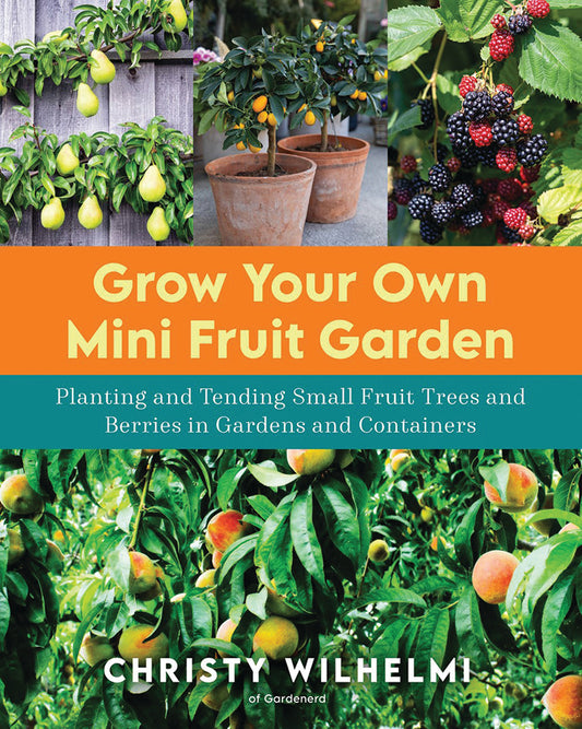 GROW YOUR OWN MINI FRUIT GARDEN