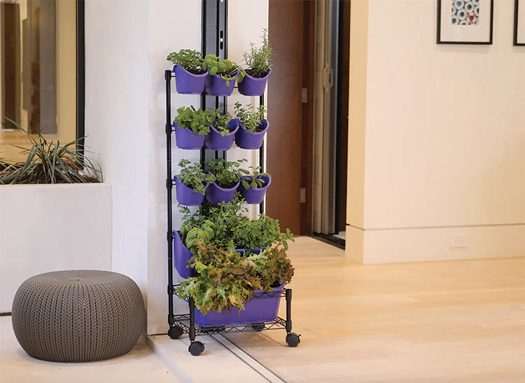 Mobile Green Wall, Single Frame
