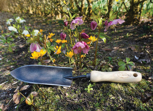 Forged Transplant Trowel