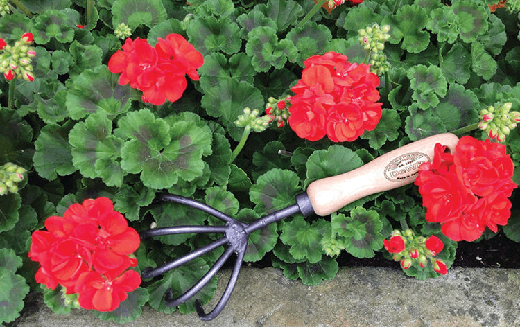 Short Handle 5-Tine Cultivator