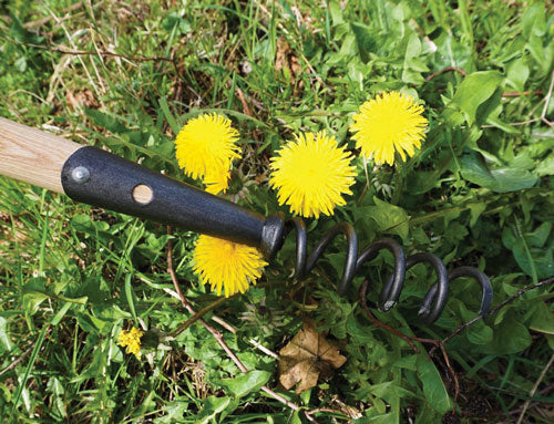 Cork Screw Weeder - Long Handle