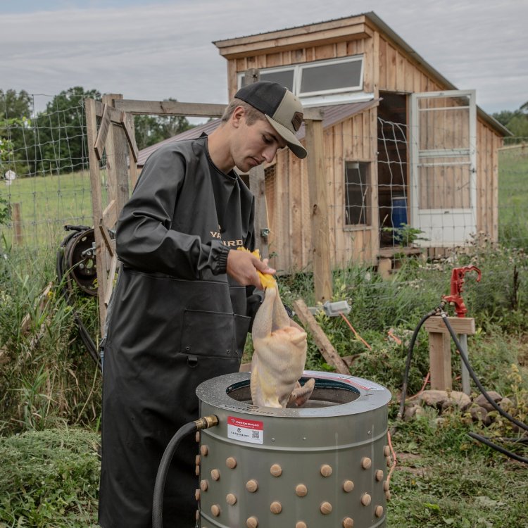 Yardbird Chicken Plucker