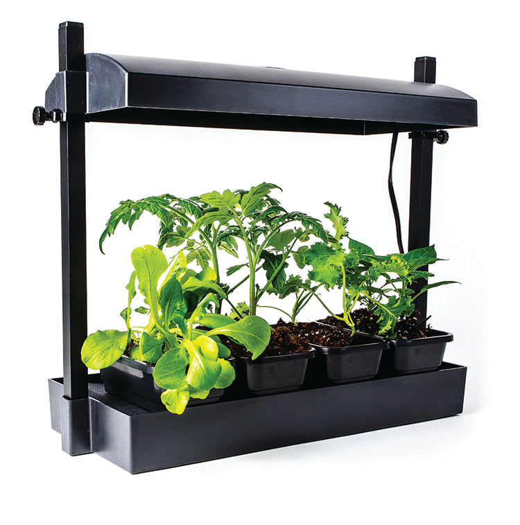MICRO LED GROW LIGHT GARDEN, BLACK