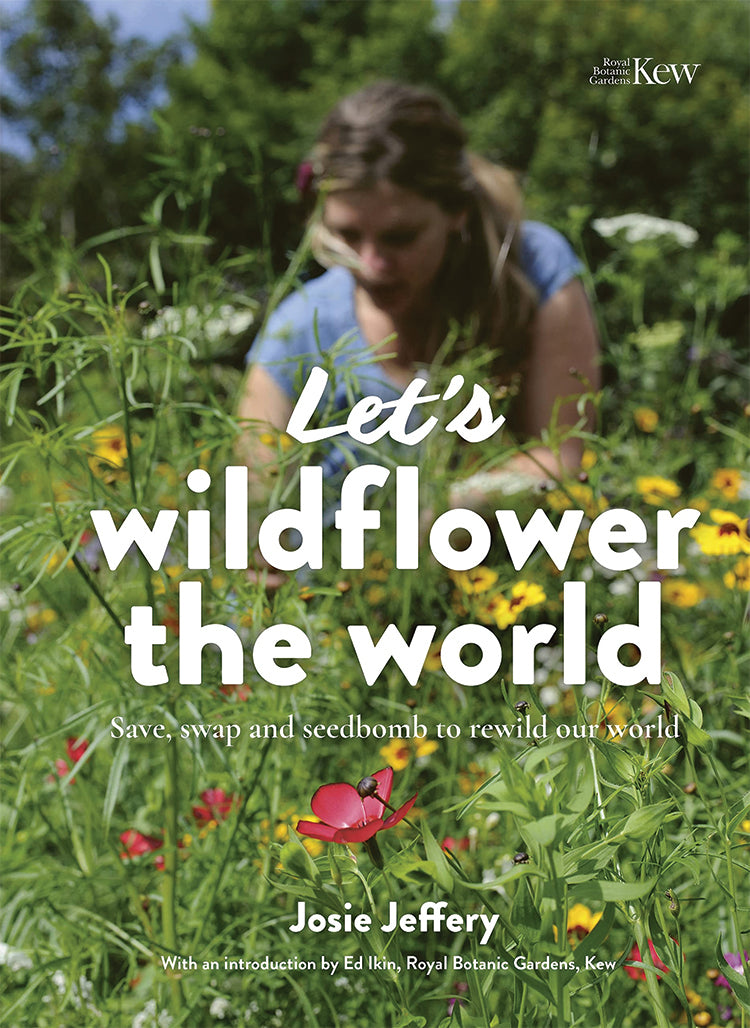 When and How to Plant Wildflower Seeds to Rewild Your Yard