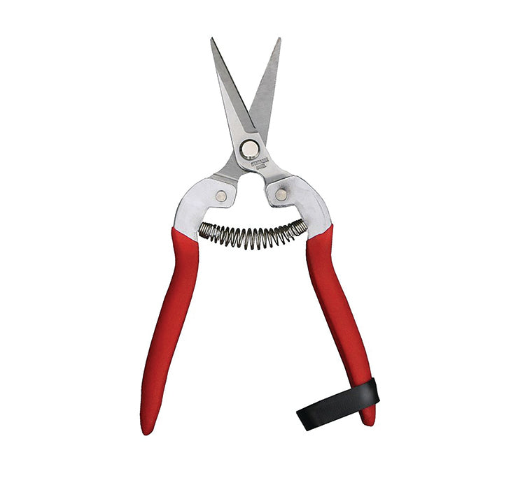 NEEDLE NOSE GARDEN SHEARS