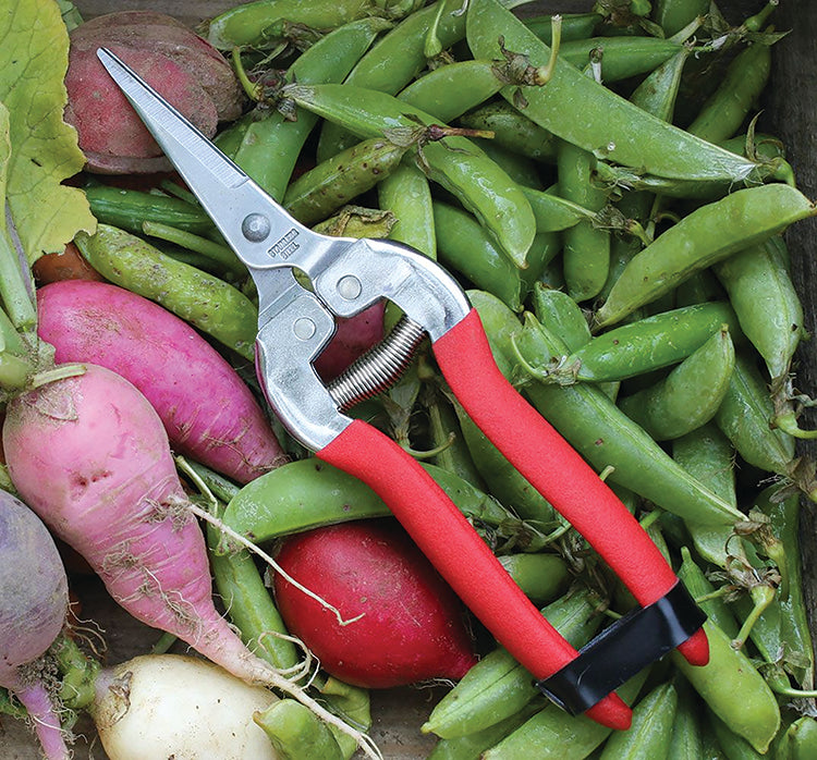 NEEDLE NOSE GARDEN SHEARS