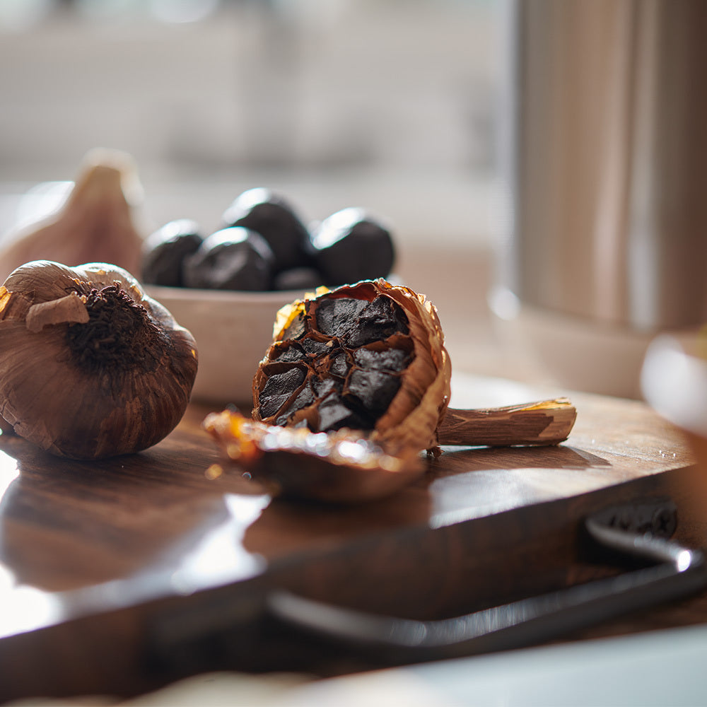 Black Garlic Multi-Purpose Fermenter