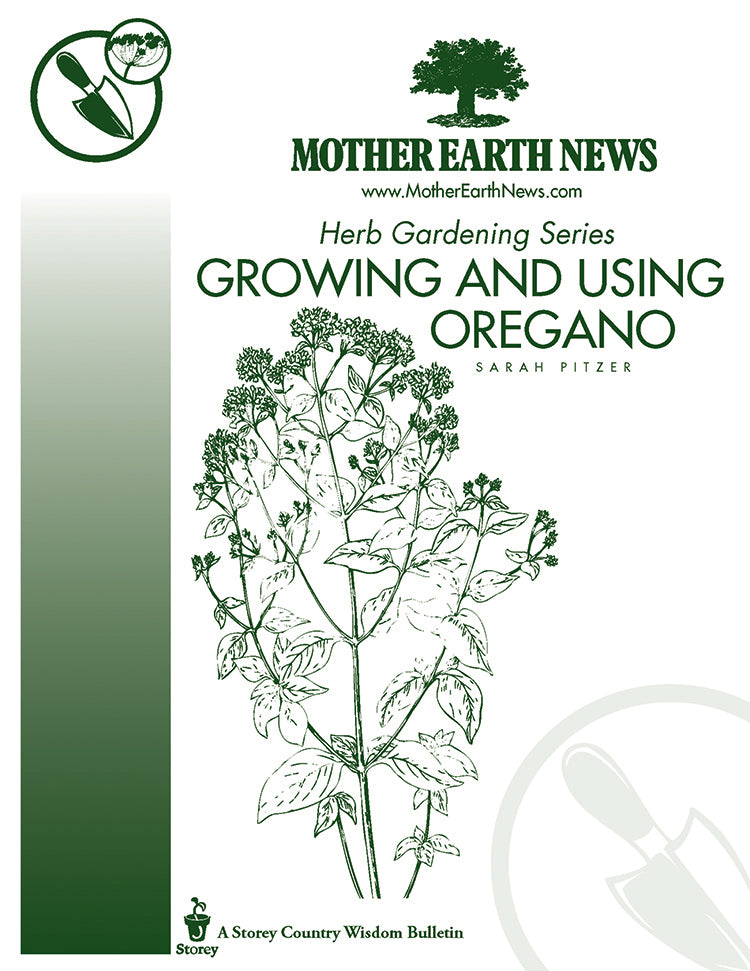 Growing And Using Oregano E Handbook Mother Earth News