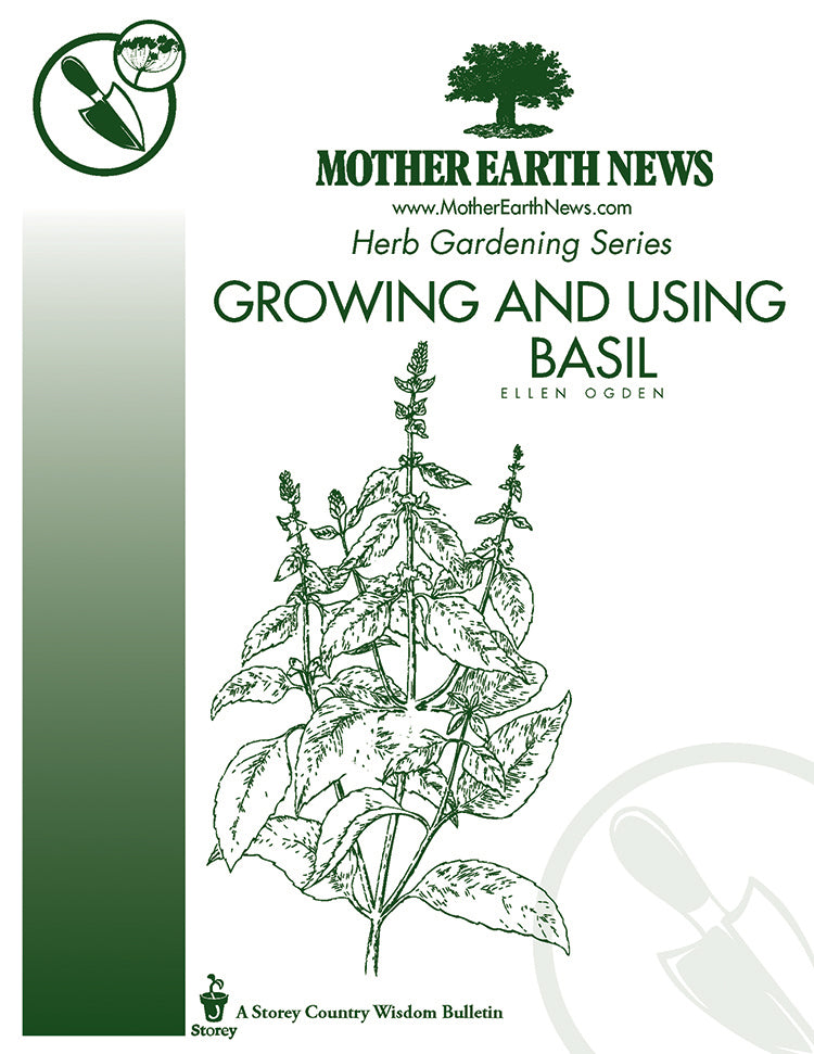 GROWING AND USING BASIL E HANDBOOK Mother Earth News