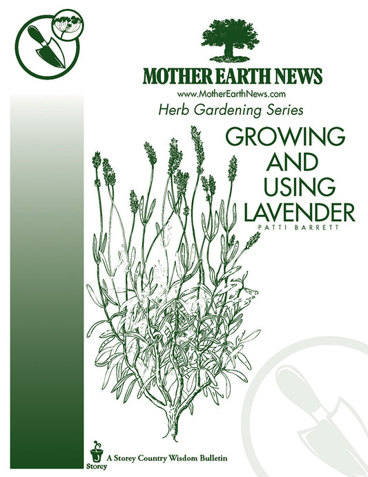 Growing And Using Lavender, E-Handbook