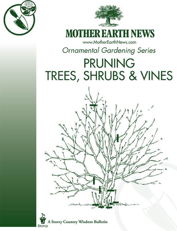 Pruning Trees, Shrubs & Vines, E-Handbook
