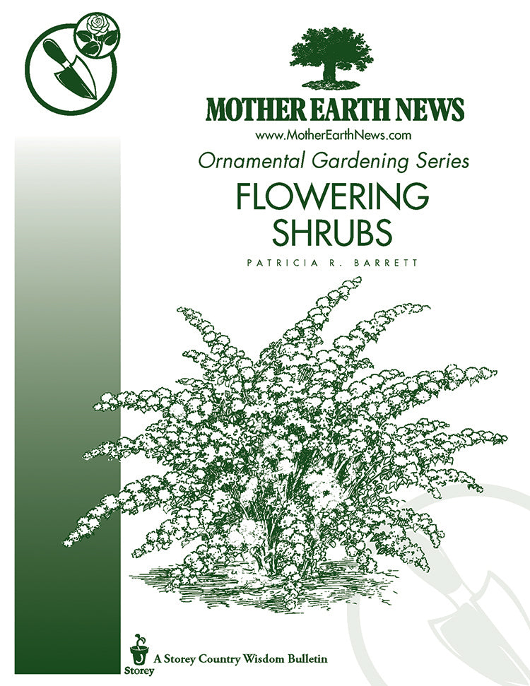 Flowering Shrubs E Handbook Mother Earth News